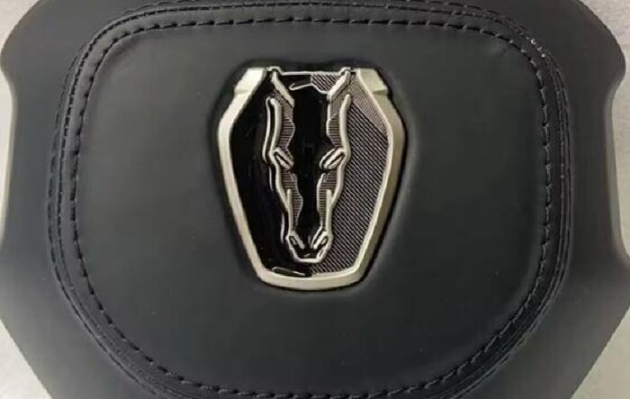 Dark Horse emblem on steering wheel