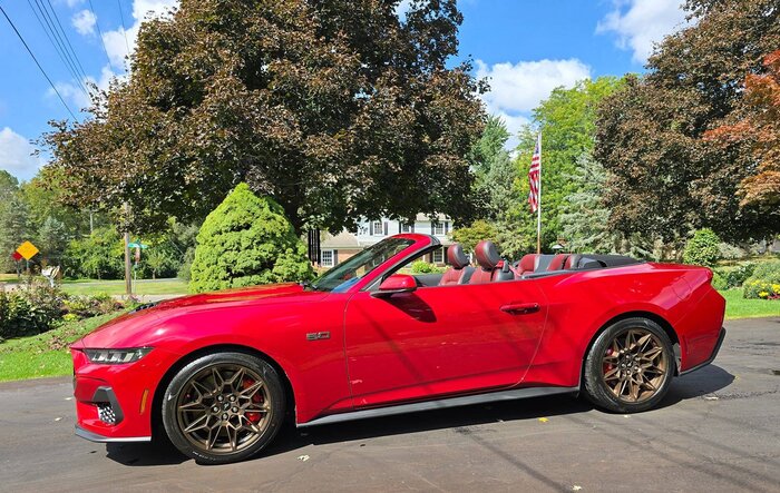 Mustang Fever?