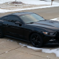wingss