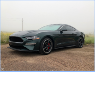 ColoShelbyGT/SC