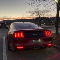 SteelCity_Stang