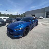 Blueberrystang2000