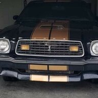 mustangwilly