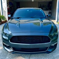 caddison524