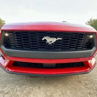 Redpony93