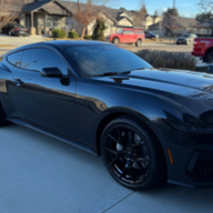 Stallion73