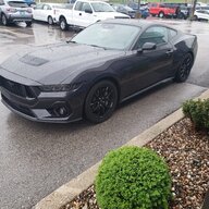 MustangMental