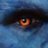 Blue Beast