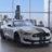 WinAShelbyGt350.com