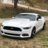Nolimit89stang