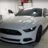 Ghoststang17