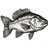 fishinrich