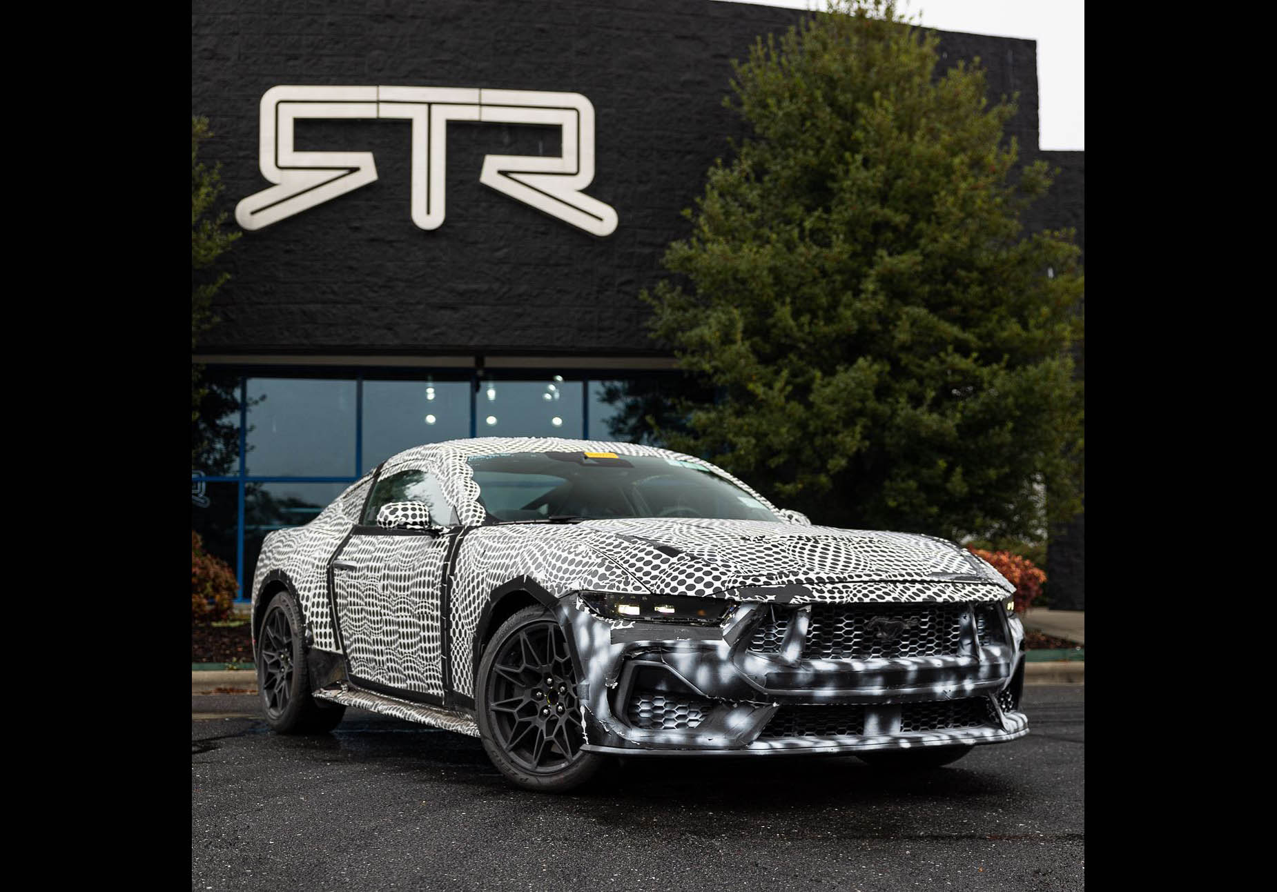 RTR S650 Mustang Tease Mustang7G 2024 S650 Mustang Forum xavian-leaguepedia-league-of-legends-esports-wiki